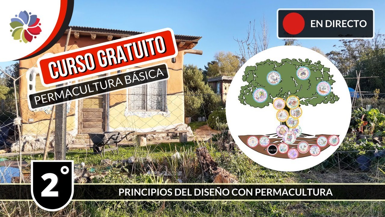 Precargar imagen