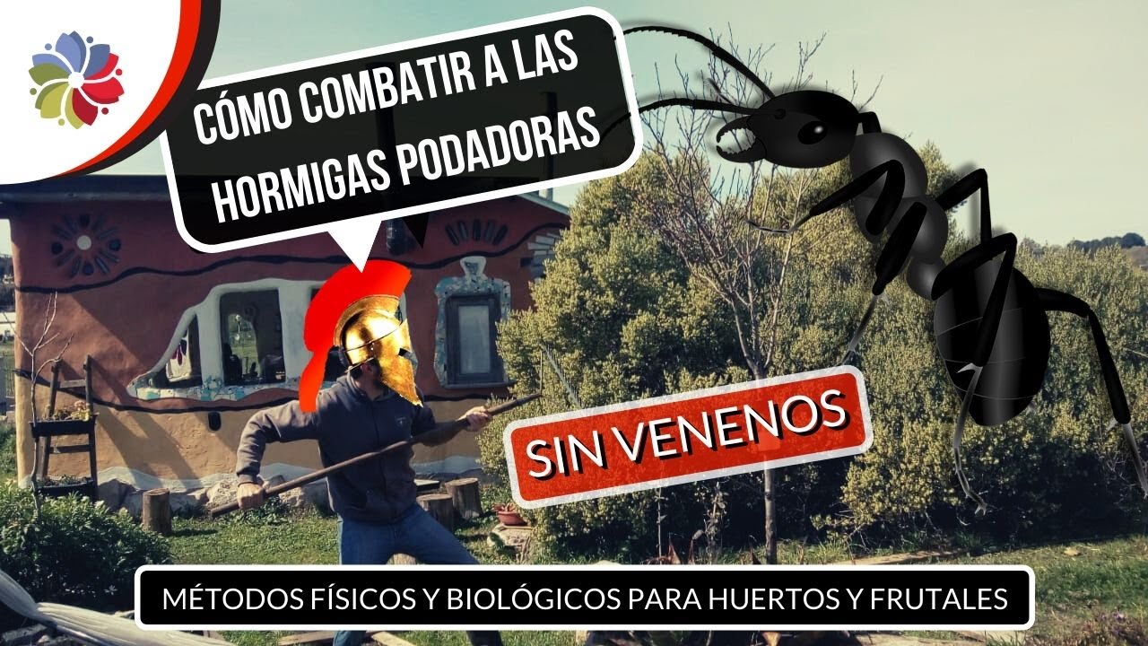 Precargar imagen