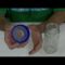 [ID: MoyBgX0cZ1E] Youtube Automatic