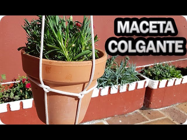 Precargar imagen