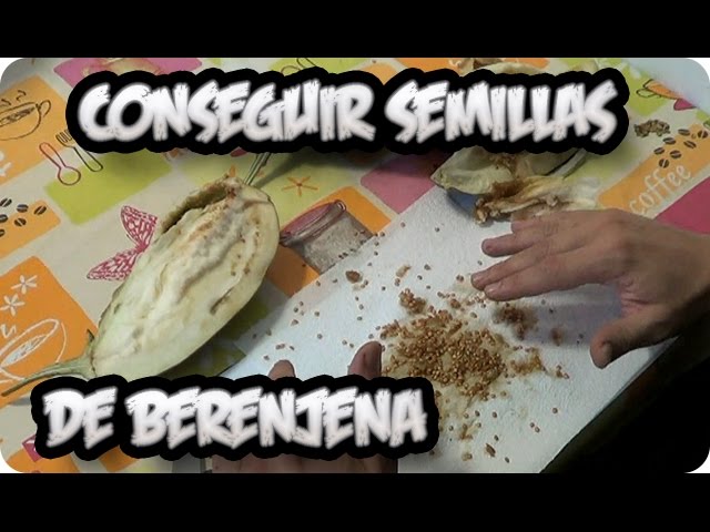 Precargar imagen