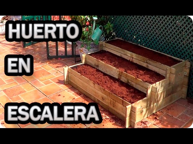 Precargar imagen