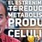[ID: n4m9lhn2WXE] Youtube Automatic