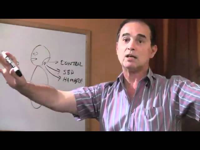 Precargar imagen