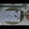 [ID: njsuJyE30qw] Youtube Automatic