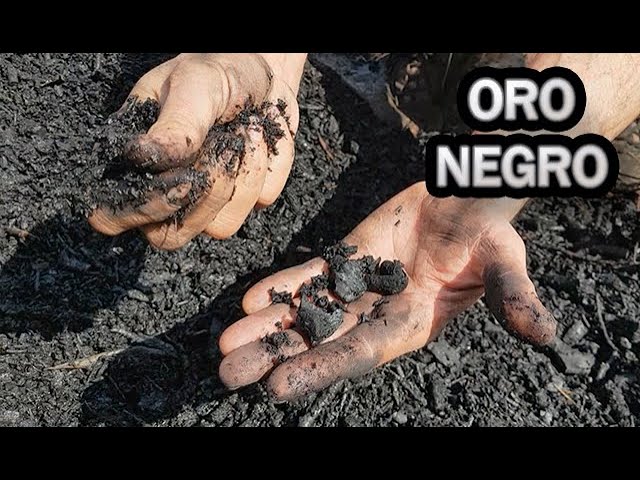 Precargar imagen