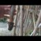 [ID: NT0Cx3DZEwM] Youtube Automatic