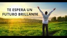 [ID: oDAy66EL57A] Youtube Automatic