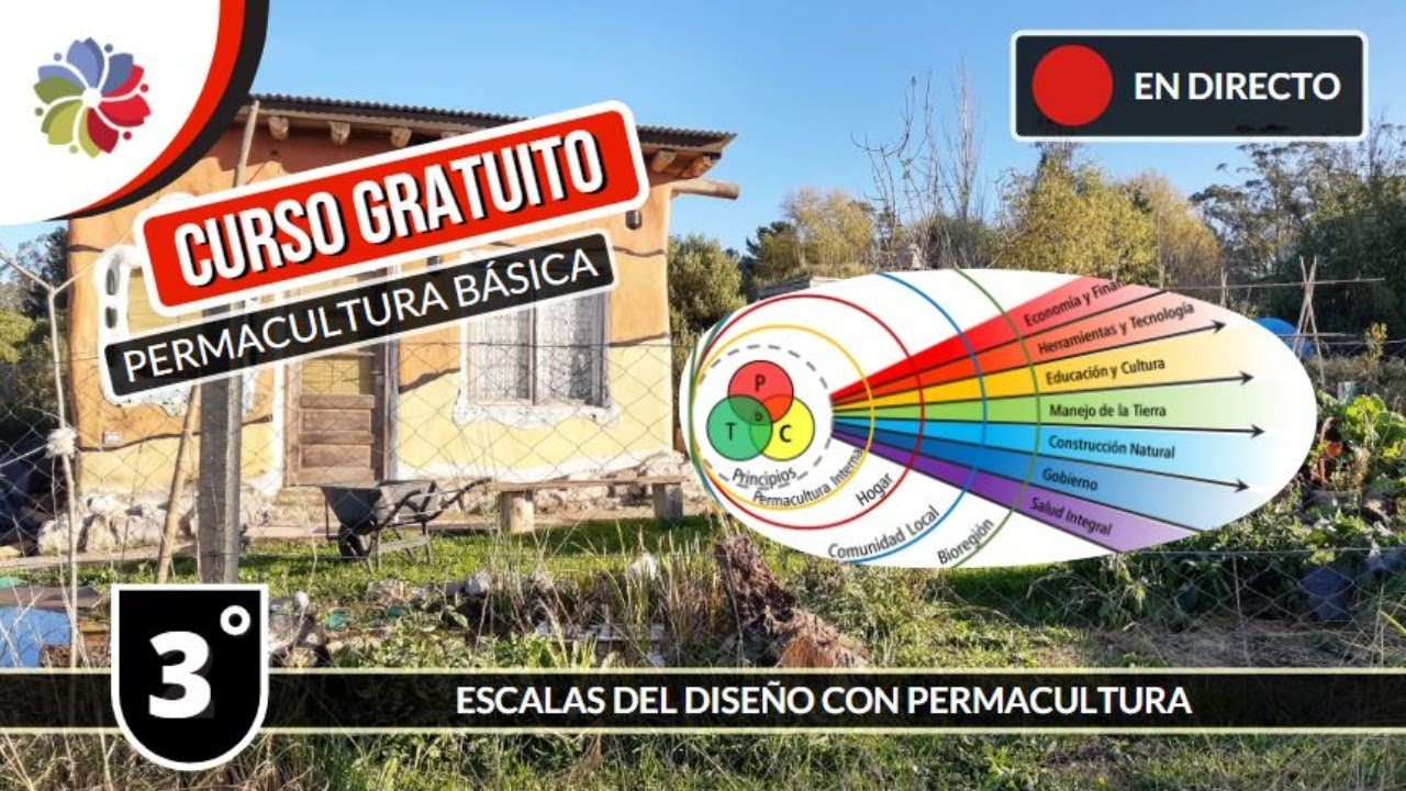 Precargar imagen