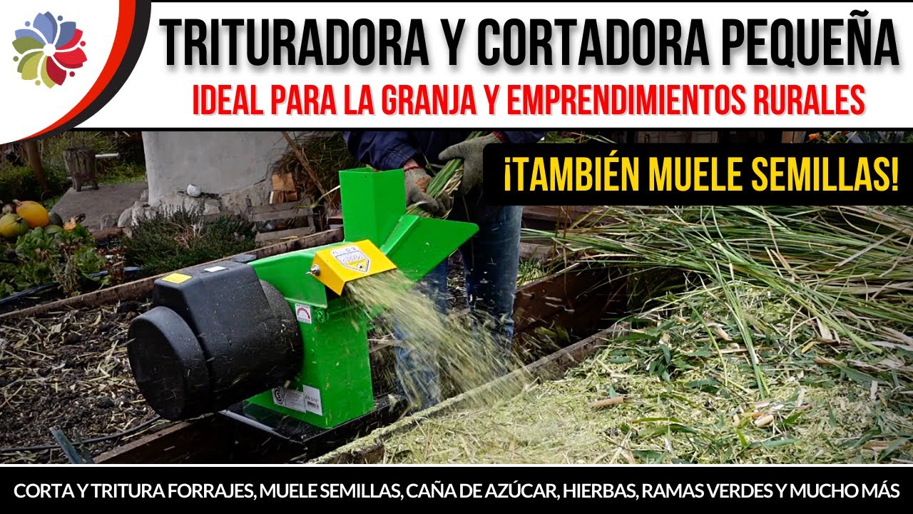 Precargar imagen