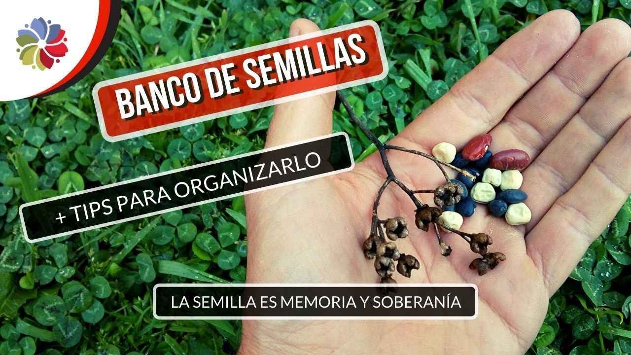 Precargar imagen