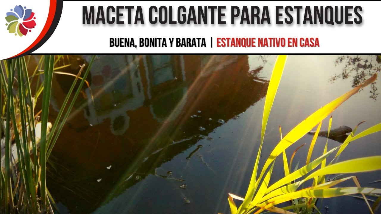 Precargar imagen