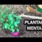 [ID: PKf7tMEuioE] Youtube Automatic
