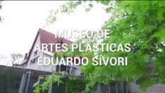[ID: pld1DxOpDiQ] Youtube Automatic