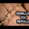 [ID: P_nPAp8L7sA] Youtube Automatic