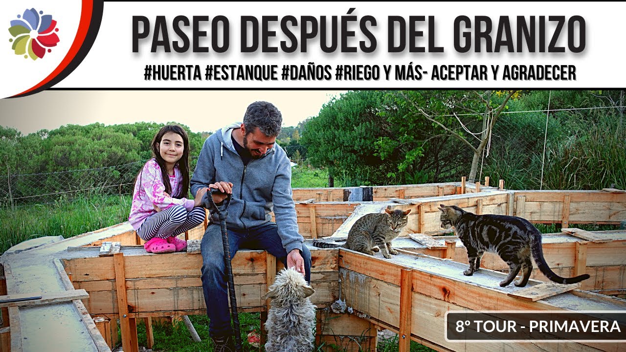Precargar imagen