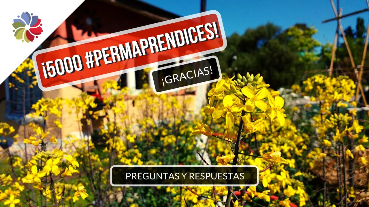 Precargar imagen