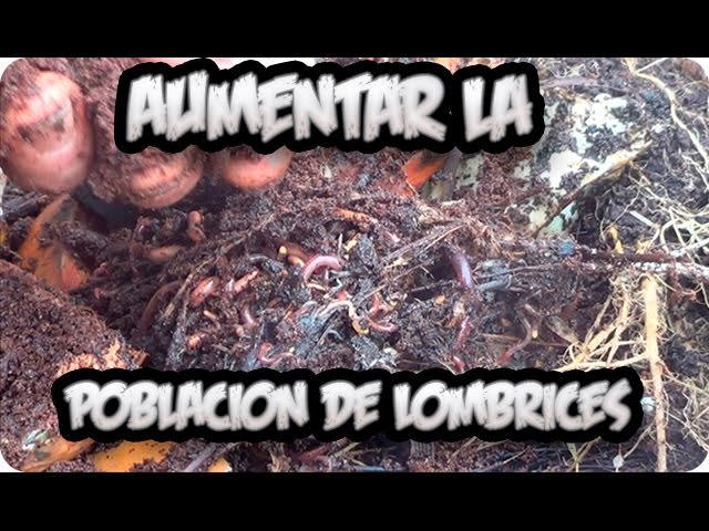 Precargar imagen