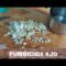 [ID: qUXn7cNg5YM] Youtube Automatic