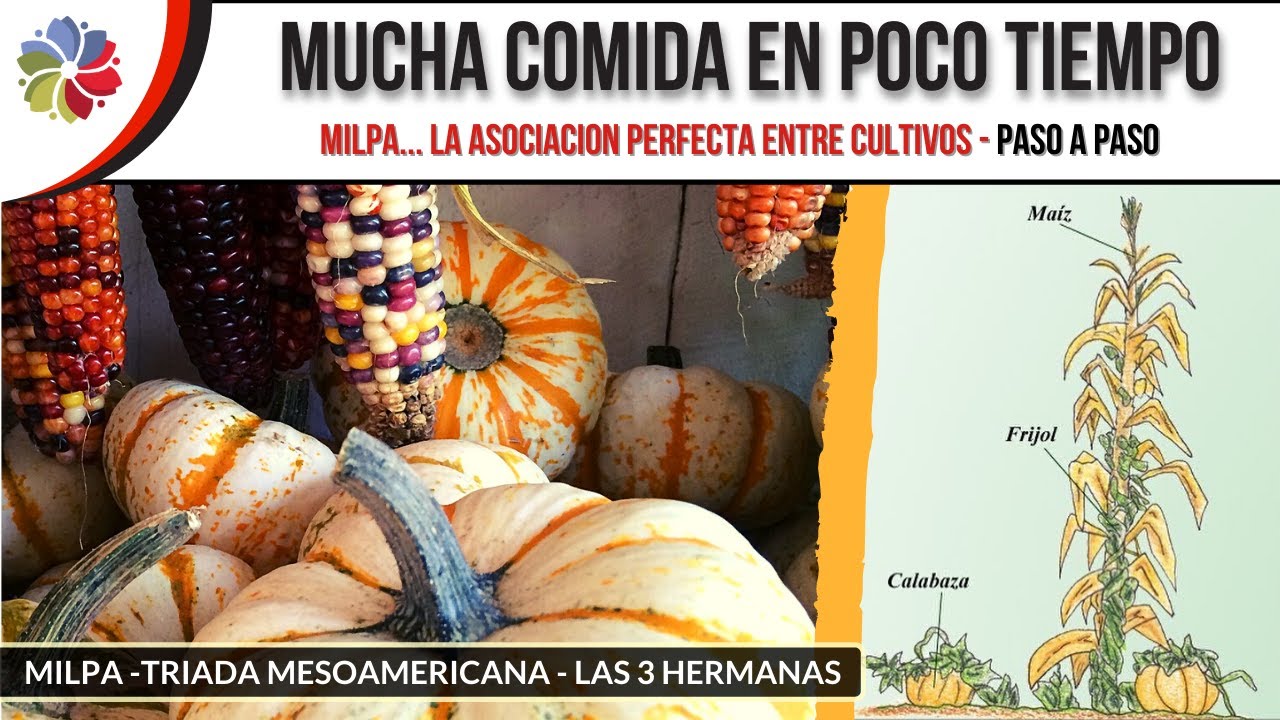 Precargar imagen