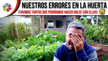[ID: qy-Yj4lF4B4] Youtube Automatic
