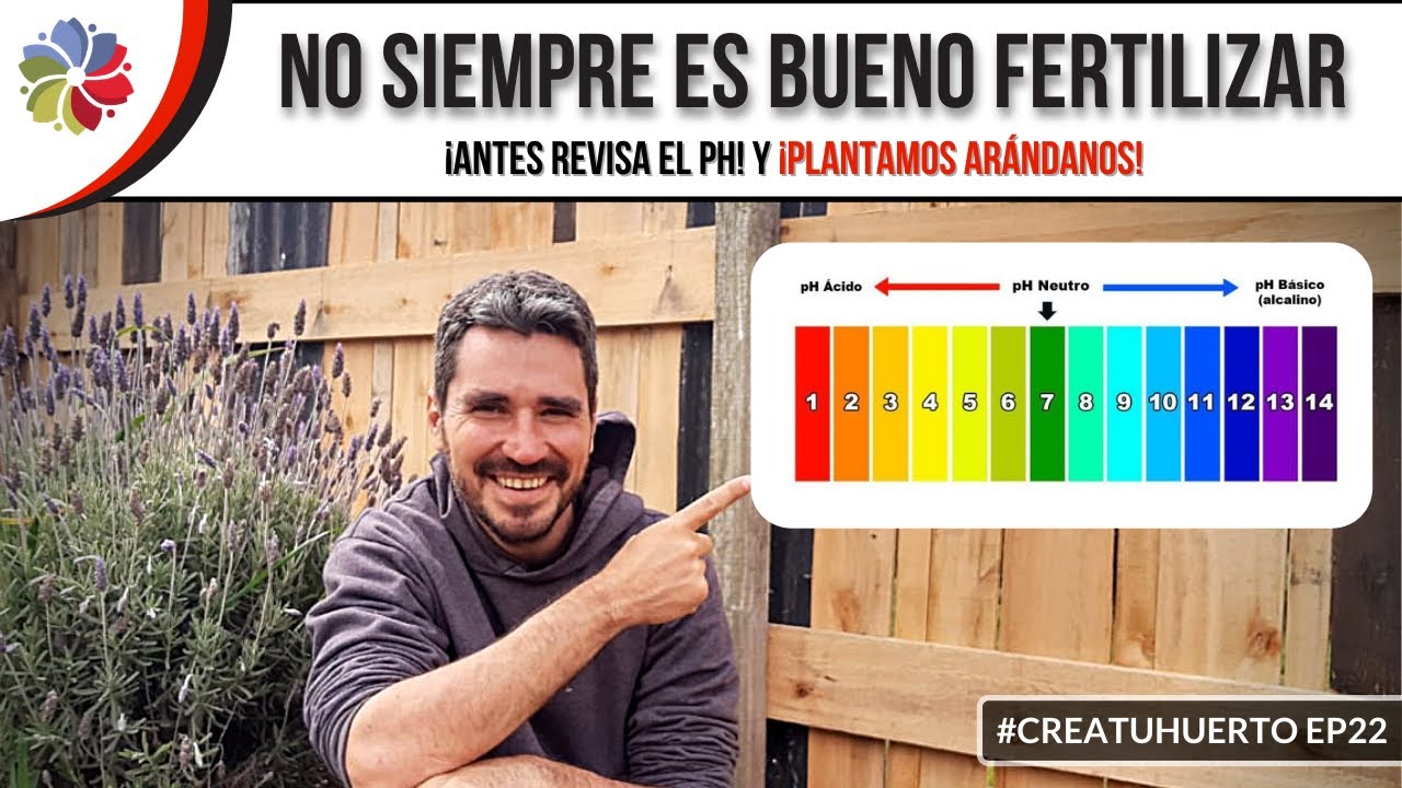 Precargar imagen