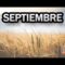 [ID: rF6OJkR0_GY] Youtube Automatic