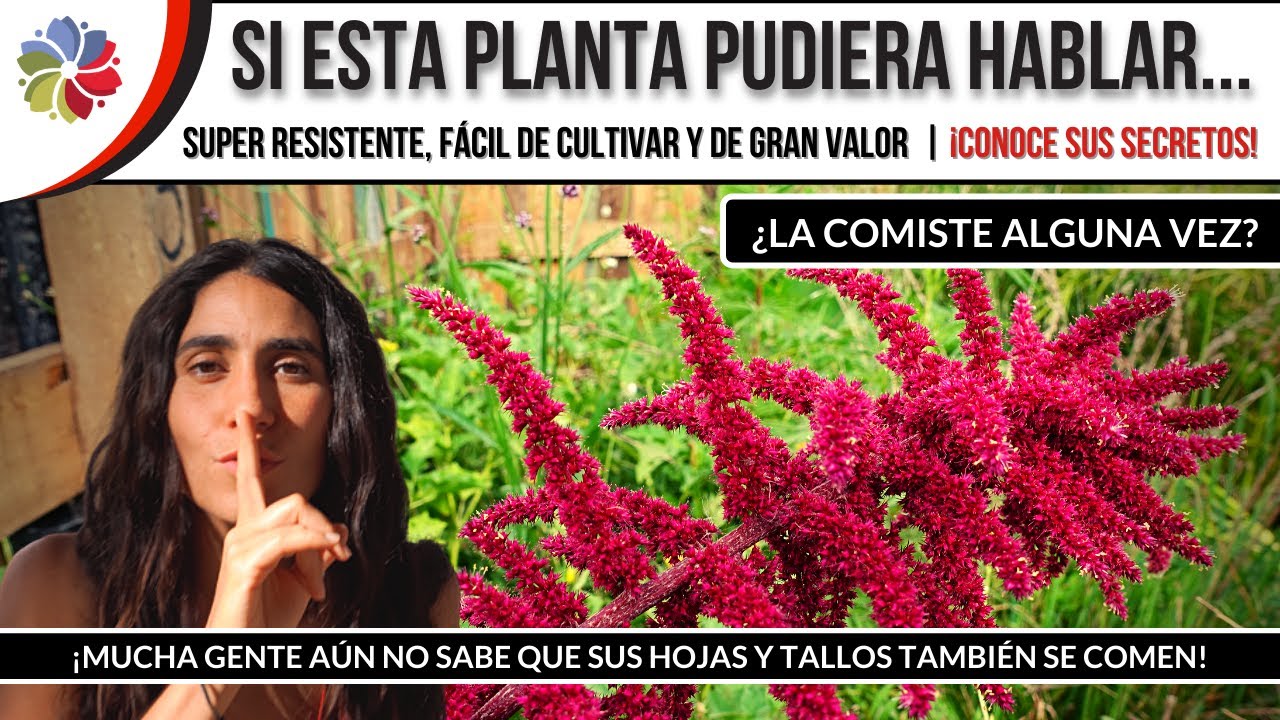 Precargar imagen