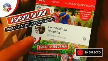 [ID: rkOJknN1iT0] Youtube Automatic