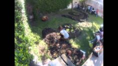 [ID: S-YgVHtWjIc] Youtube Automatic