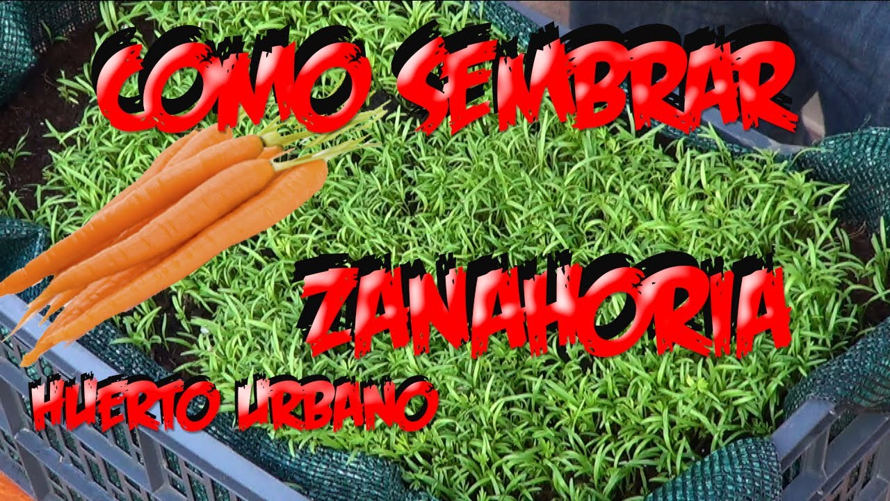 Precargar imagen