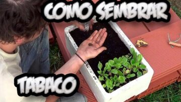 [ID: sl_ZOp0FCuI] Youtube Automatic