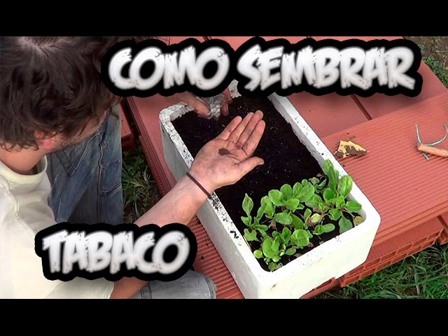 Precargar imagen