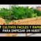 [ID: sqRj7TXO9AI] Youtube Automatic