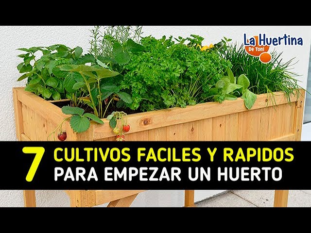 Precargar imagen