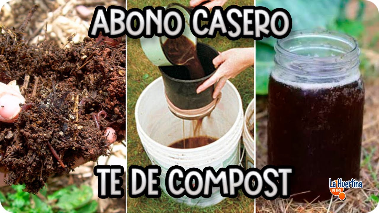 Precargar imagen