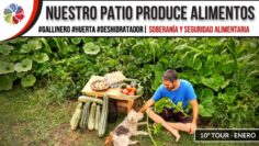 [ID: SXA7fErFZEo] Youtube Automatic