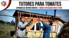 [ID: t29j4KQl_E4] Youtube Automatic