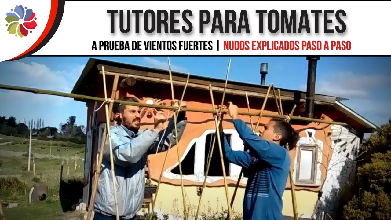 Precargar imagen