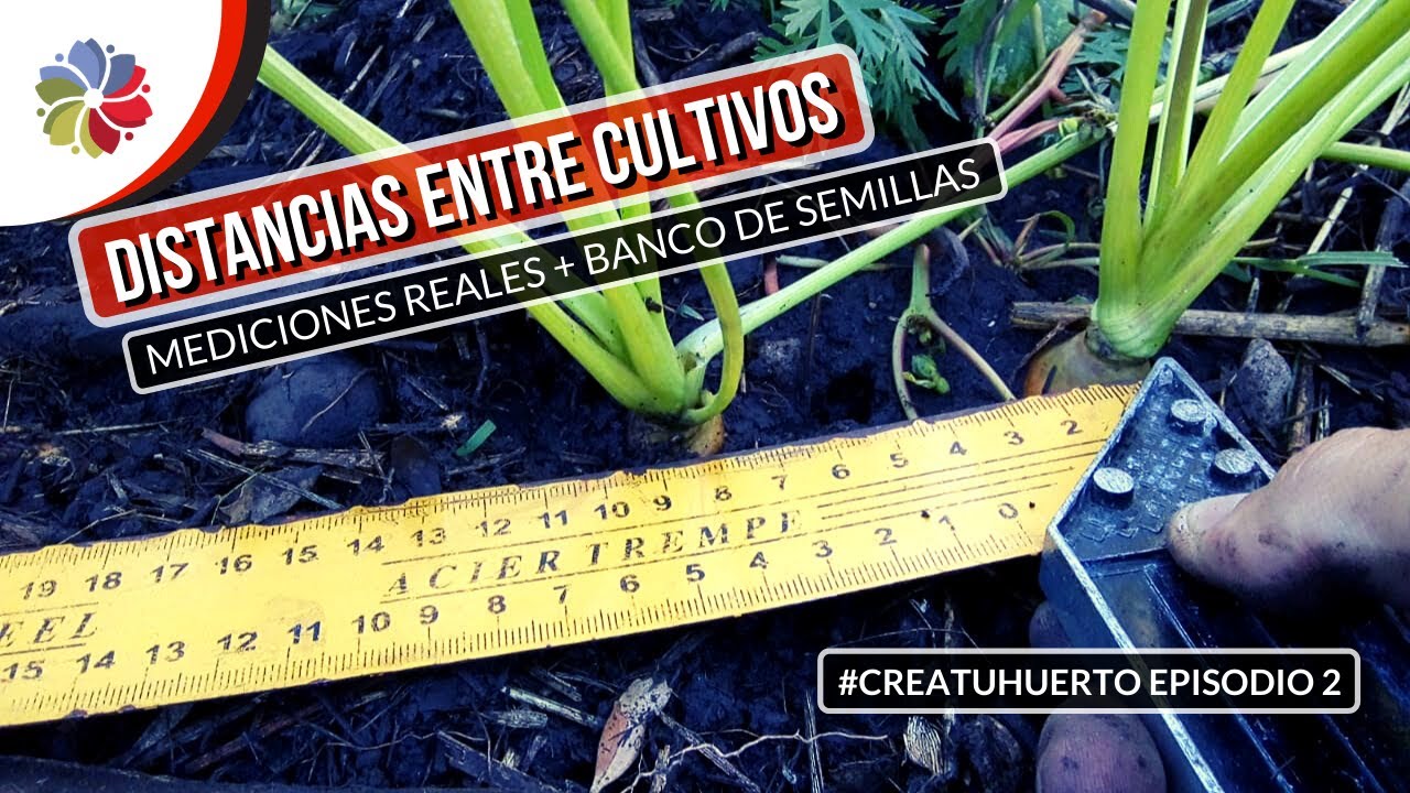 Precargar imagen