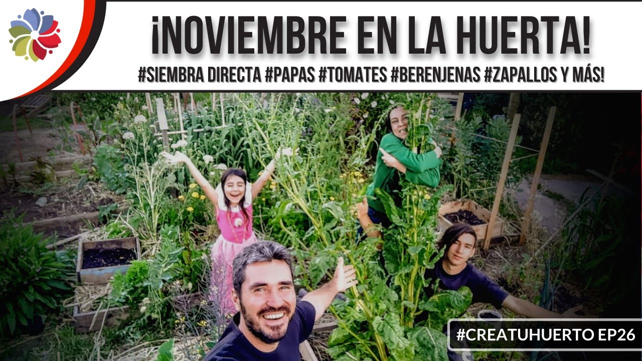 Precargar imagen