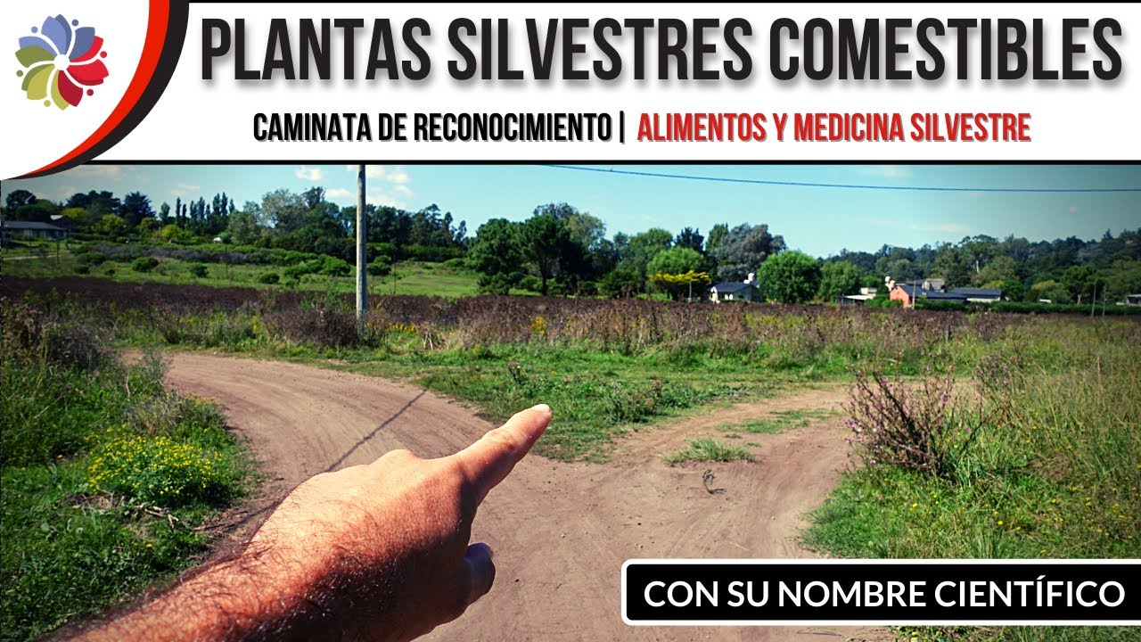 Precargar imagen