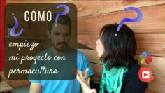 [ID: ThsyAUdcqMs] Youtube Automatic