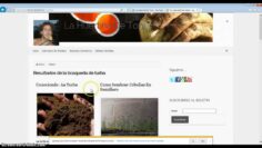 [ID: tOCWsRI3IPw] Youtube Automatic
