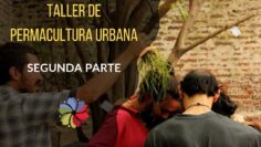 [ID: TpsQgr7zWQk] Youtube Automatic