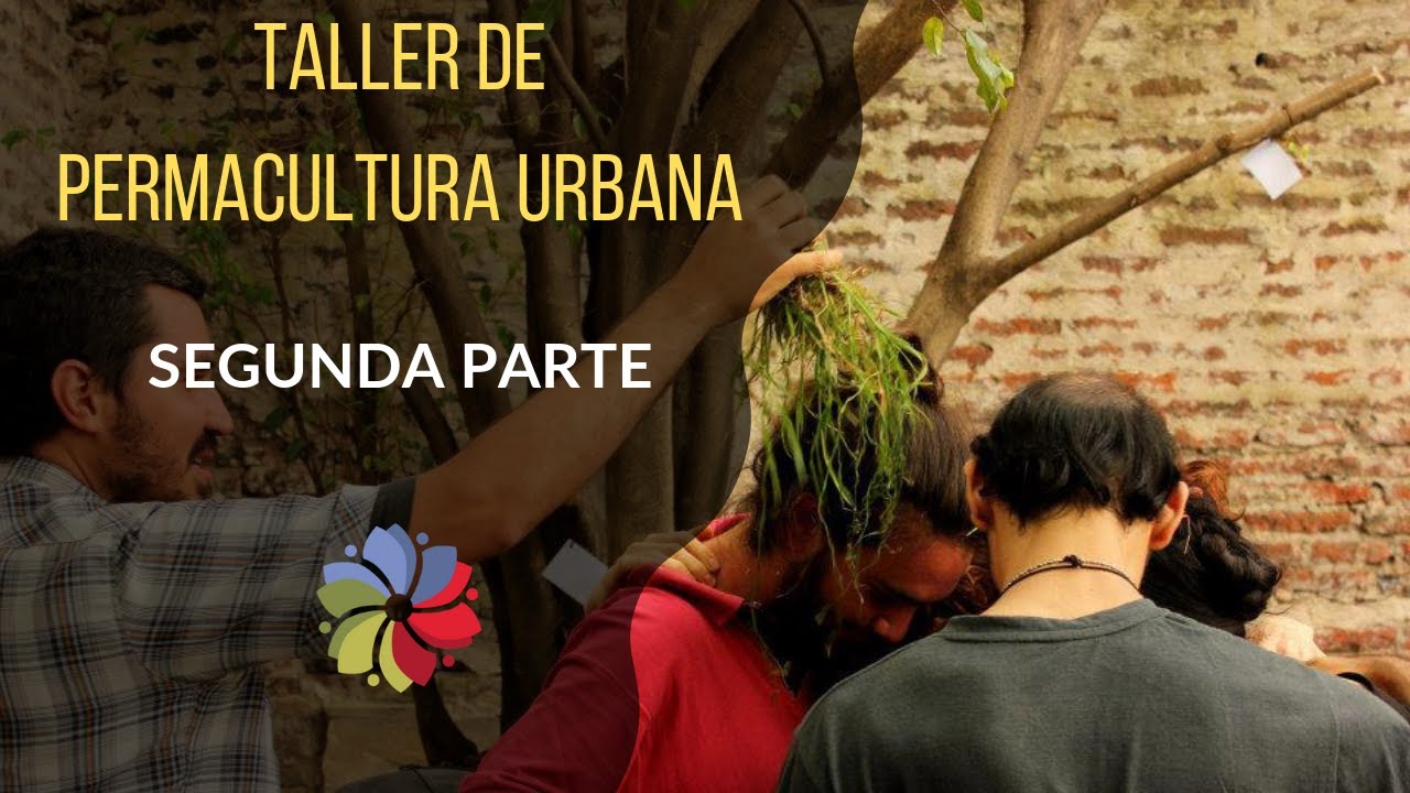 Precargar imagen