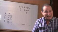 [ID: u-lHryIe220] Youtube Automatic