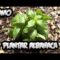 [ID: uAQNxtqbHXg] Youtube Automatic