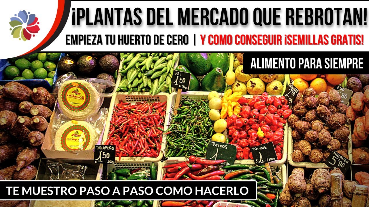 Precargar imagen