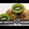 [ID: UH2ErMQOqi0] Youtube Automatic